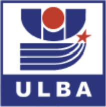 Institution or Company Logo