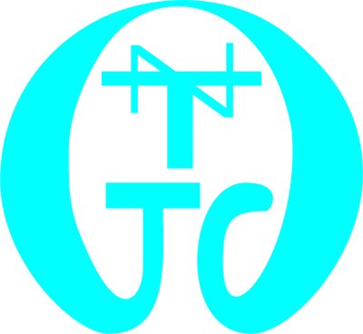Institution or Company Logo